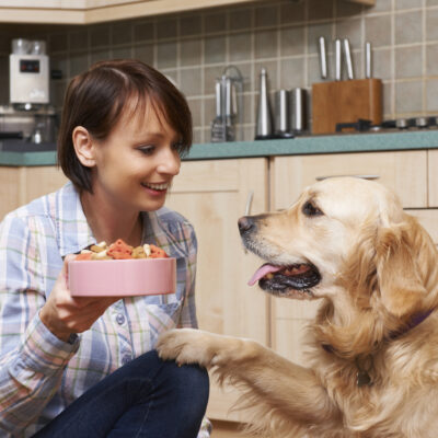 Detecting and Treating Food Allergies in Pets