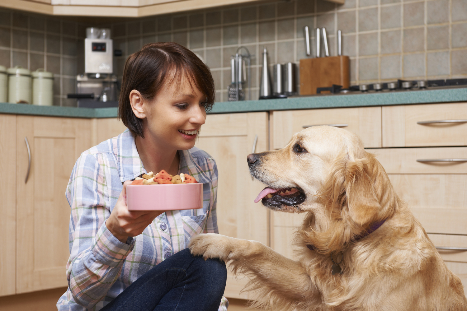 Detecting and Treating Food Allergies in Pets