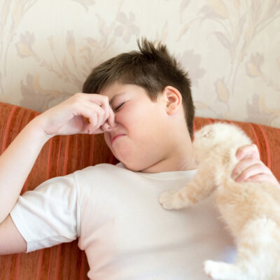 Tips to Prevent Cat Odor